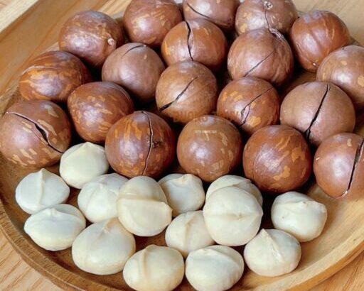 Tìm hiểu chi tiết nguồn gốc của hạt mắc ca