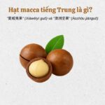 Macca tiếng Trung là gì? cách gọi chính xác nhất