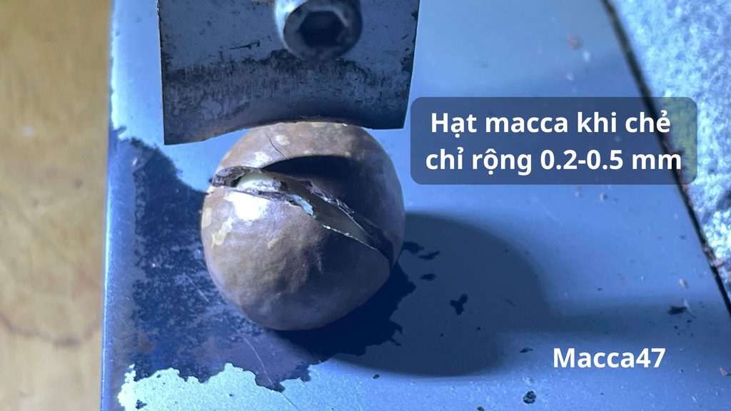Hình ảnh hạt macca khi chẻ ở máy nó nứt chỉ 0.2-0.5mm rất khó nhìn